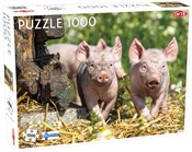 Puzzle Pig... -  Polnische Buchandlung 