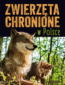 Obrazek Zwierzęta chronione w Polsce