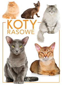 Bild von Koty rasowe