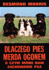 Bild von Dlaczego pies merda ogonem O czym mówi nam zachowanie psa