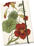 Zobacz : Notatnik o...