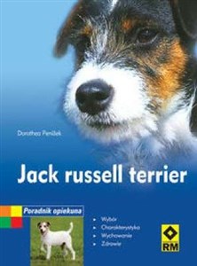 Bild von Jack Russell Terrier