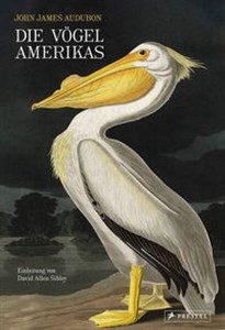 Obrazek Die Vögel Amerikas