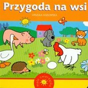 Przygoda n... - Urszula Kozłowska -  fremdsprachige bücher polnisch 