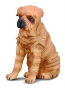 Bild von Pies rasy Shar Pei