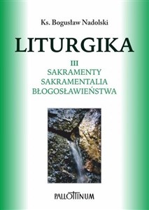 Bild von Liturgika T.3