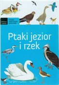 Ptaki jezi... - Michał Brodacki -  Polnische Buchandlung 