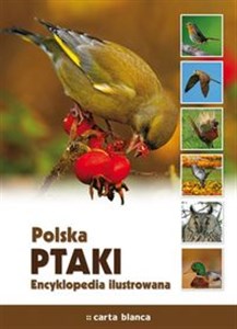 Bild von Polska Ptaki Encyklopedia ilustrowana