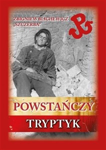 Obrazek Powstańczy tryptyk