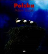 Polnische buch : Polska - Adam Bujak