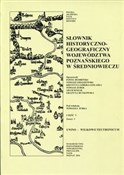 Słownik hi... - Michał Duch -  Książka z wysyłką do Niemiec 