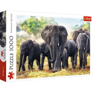 Obrazek Puzzle Afrykańskie słonie 1000