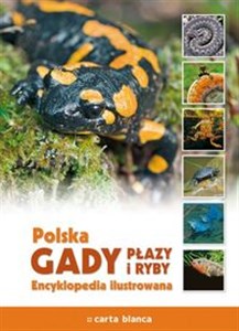Obrazek Polska Gady płazy i ryby Encyklopedia ilustrowana