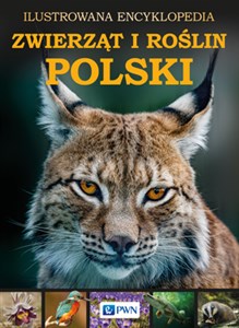 Obrazek Ilustrowana Encyklopedia Zwierząt i Roślin Polski