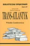 Bibliotecz... - Danuta Polańczyk - buch auf polnisch 