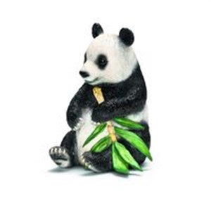 Bild von Panda