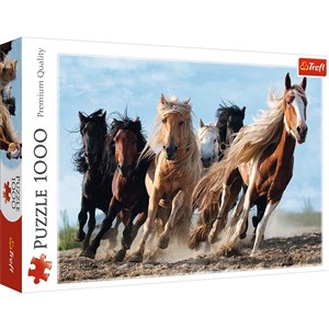 Obrazek Puzzle 1000 Galopujące konie