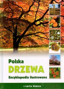 Bild von Polska Drzewa Encyklopedia ilustrowana