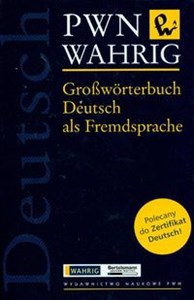 Bild von Grosworterbuch Deutsch als Fremdsprache