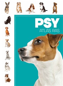 Bild von Psy Atlas ras