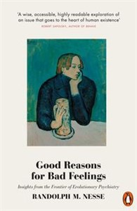 Obrazek Good Reasons for Bad Feelings