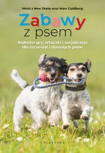 Obrazek Zabawy z psem Radosne gry, sztuczki i socjalizacja dla szczeniąt i dorosłych psów