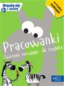 Pracowanki... - Opracowanie Zbiorowe -  Książka z wysyłką do Niemiec 