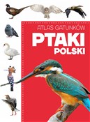 Atlas gatu... - Opracowanie Zbiorowe -  fremdsprachige bücher polnisch 