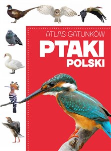 Obrazek Atlas gatunków Ptaki Polski