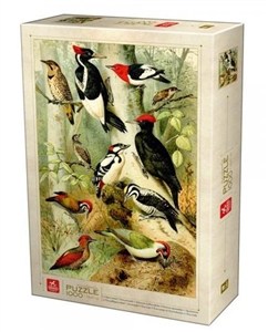 Bild von Puzzle 1000 Encyklopedia - Ptaki