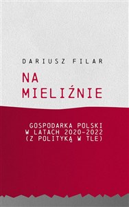 Obrazek Na mieliźnie Gospodarka Polski w latach 2020-2022 (z polityką w tle)