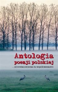 Obrazek Antologia poezji polskiej Od średniowiecza do współczesności