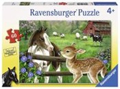 Puzzle Now... -  Polnische Buchandlung 