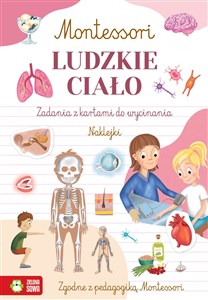 Obrazek Montessori Ludzkie ciało