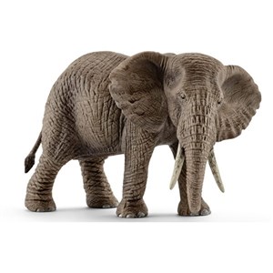 Obrazek Samica słonia afrykańskiego