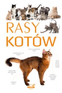 Bild von Rasy kotów