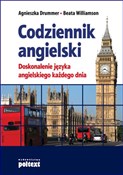 Polska książka : Codziennik... - Agnieszka Drummer, Beata Williamson