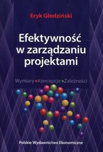 Obrazek Efektywność w zarządzaniu projektami Wymiary Koncepcje Zależności