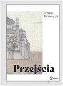 Polska książka : Przejścia - Ireneusz Kaczmarczyk