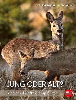 Bild von HESPELER, B: JUNG ODER ALT?