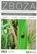 Zeige Details für Zboża. Identyfikacja agrofagów oraz niedoborów... Zobacz : Zboża. Ide... - Opracowanie Zbiorowe