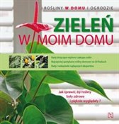 Zieleń w m... - Mauro Fozai -  fremdsprachige bücher polnisch 