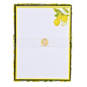 Bild von Papeteria Cytryny Amalfi Peter Pauper Press