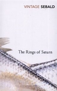 Bild von The Rings of Saturn