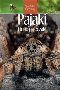 Bild von Pająki i inne pajęczaki. Spotkania z przyrodą