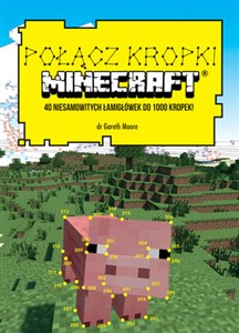 Bild von Połącz kropki. Minecraft