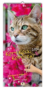 Bild von Kalendarz 2026 ścienny paskowy szeroki Koty Kotki Koteczki KPS V6