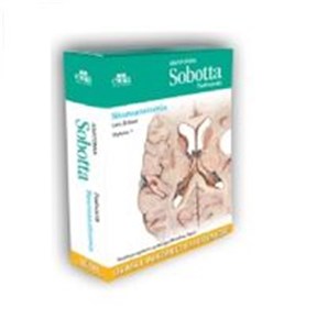 Bild von Anatomia Sobotta Flashcards Neuroanatomia Łacińskie mianownictwo anatomiczne