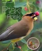 Polska książka : Ptaki Pols... - Andrzej G. Kruszewicz