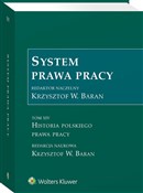 System pra... - Opracowanie Zbiorowe - Ksiegarnia w niemczech